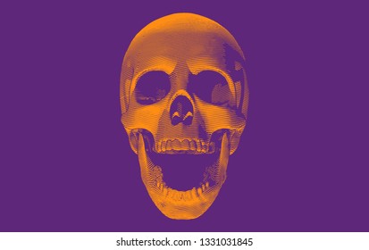 Orange engraving drawing skull open mouth with bottom lighting isolated on purple background for halloween theme