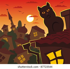 Orange evening, cat, roof
