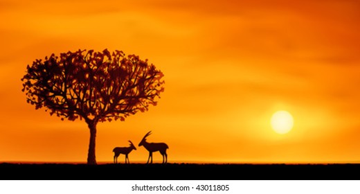 Orange evening savanna scenery with two antelopes (.JPG version id 44515186, other landscapes are in my gallery)