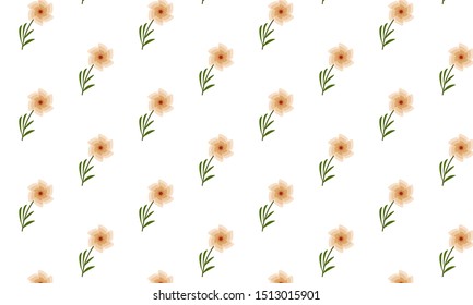 Orange Evergreen Candytuft Flower Pattern Background