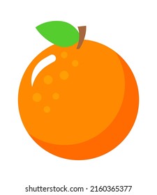 Orange Exotic Fruit. Vector illustration