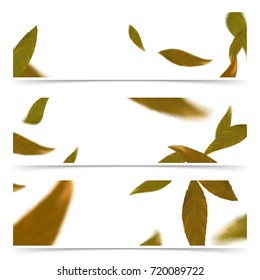 Orange falling autumn leaves web banner flyer collection. Beautiful minimalistic art cards set. Promotional banners, Invitations, Shopping placards. Vector illustration