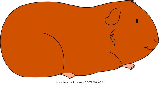 Orange fat cavy, illustration, vector on white background.