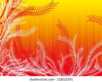 Orange fir background