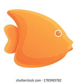 Orange fish bath toy icon. Cartoon of orange fish bath toy vector icon for web design isolated on white background