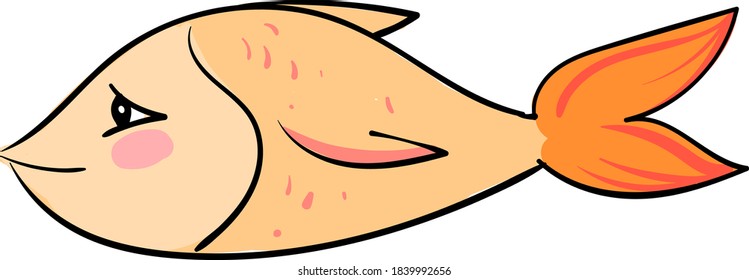 Orange fish, illustration, vector on white background