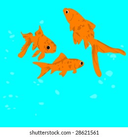 orange fish swiming