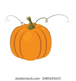 Orange flat illustration of a pumpkin with green swirls. Autumn harvest. Autumn harvest. Halloween pumpkin. Thanksgiving pumpkin.