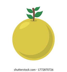 orange flat style icon design, Fruit healthy organic food sweet and nature theme Vector illustration