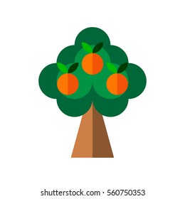Orange in flat style isolated on the white background. Three ripe oranges hanging on the tree. Vector.