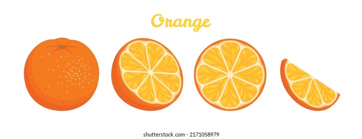 Naranja de estilo plano. Cortes de naranja, mitad y fruta entera. Conjunto de ilustraciones vectoriales aisladas de cítricos verdes. Jugo, vitamina jugo y orgánico.