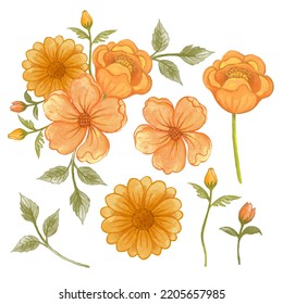 Orange flora set white isolated background