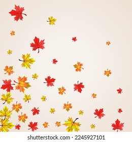 Orange Floral Background BeigeVector. Leaf Flying Illustration. Colorful November Foliage. Canadian Leaves Texture.