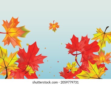 Orange Floral Background Blue Vector. Foliage Realistic Texture. Green October Leaves. Bright Leaf Template.