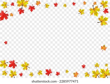 Vector transparente de fondo floral naranja. Plantilla de colección de follaje. Planta de temporada verde. Textura de hojas aisladas.
