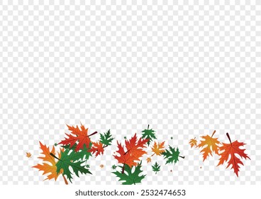 Orange Floral Background Transparent Vector. Maple Collection Pattern. Yellow Shape. Canada Template. Red Foliage Ground.