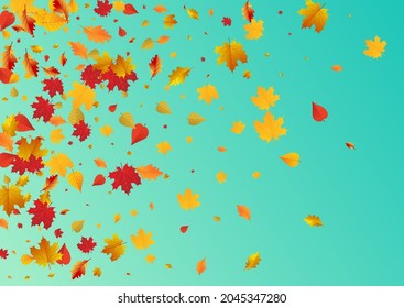 Orange Floral Vector Blue Background. Nature Leaves Frame. Colorful Design Plant Illustration. Canadian Card.