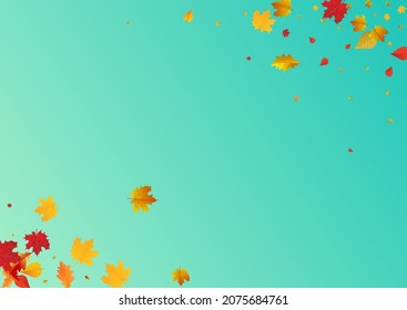 Orange Floral Vector Blue Background. September Leaf Frame. Yellow Realistic Leaves Illustration. Celebrate Card.