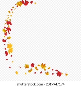 Fondo transparente del vector floral naranja. Plantilla de hoja de tierra. Marco de la Planta Dorada de Septiembre. Textura abajo.