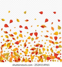 Fundo transparente do vetor floral laranja. Textura da planta da natureza. Projeto de folhagem realista verde. Moldura da Floresta.