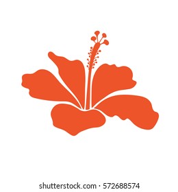 Orange flower.