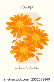 orange flower arrangement. flower poster with flat petals