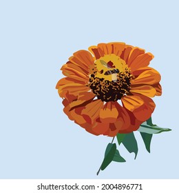 Orange flower with bee on it on light blue background