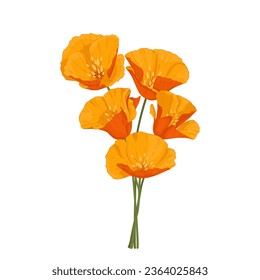 
Flor naranja. Un ramo de flores florecientes sobre tallos verdes. Ilustración del vector botánico dibujada a mano.