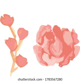 Orange flower and bud vector Illustration
