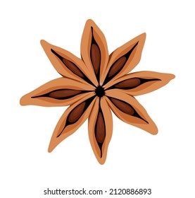 orangefarbene Blume auf Weiß