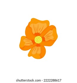 orange flower drawing on white background, vector illustration