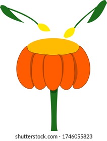 Orange flower drum instrument with two yellow tulips isolated on white background in vector. Concepts: music, floral, bloom, spring