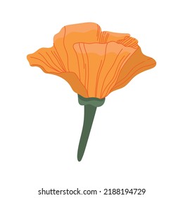 orange flower garden decoration nature