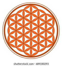 Orange Flower of Life icon vector