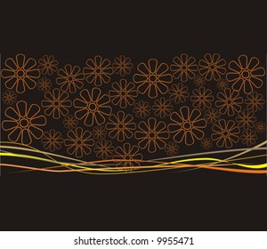 Orange flower on black