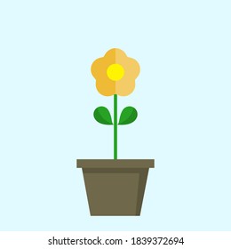 Orange flower with pot set on blue background, flat style design, vector illustration.