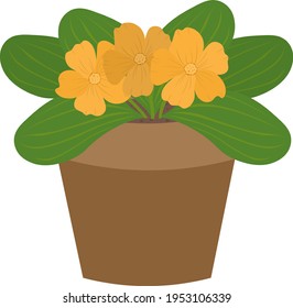 Orange flower in a pot vector illustration