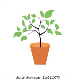 Orange flower pot. Vector illustration isolated on white background.