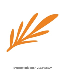 orange flower simple shape, flower orange graphic