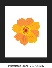 orange flower vector illustration design
