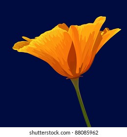 Orange flower. Vector. No gradients, meshes and strokes.