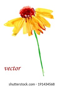 Orange flower. Watercolor floral illustration. Floral decorative element. Vector floral background.
