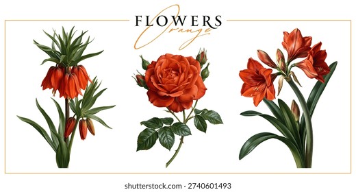 Orange flowers isolated on a white background. Vintage painting style illustration.