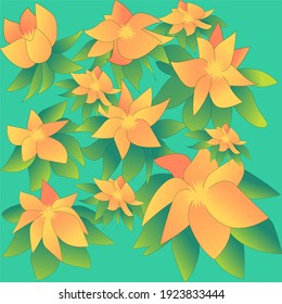 Orange  flowers on the green background