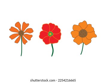 orange flowers on white background.