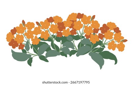 Orange flowers on a white background vector illustration. Hand-drawn style.	
