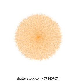 Orange Fluffy Vector Hair Ball
