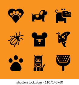 orange, fly, eyes and elegant icon set. Vector illustration for web and design.