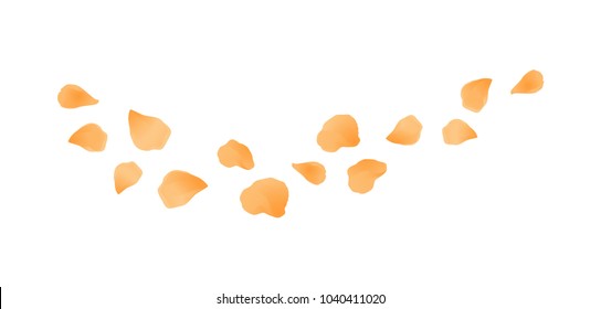 Orange Flying Petals Isolated On White Background. Flower Roses Petals. Vector EPS 10 Cmyk