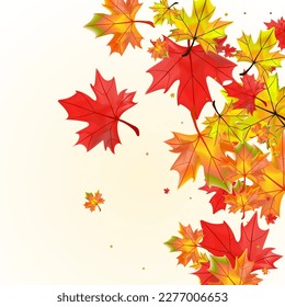 Orange Foliage Background BeigeVector. Leaf Celebrate Frame. Red Down Leaves. Ground Plant Card.